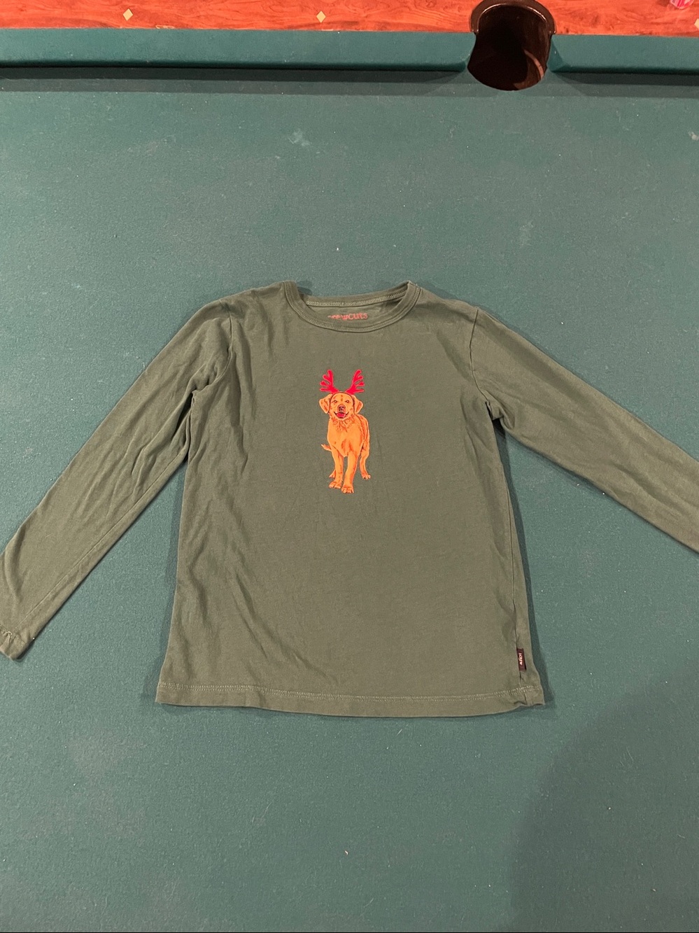 Crewcuts Green Long-Sleeve Tee with Orange Dog Graphic and Red Antlers